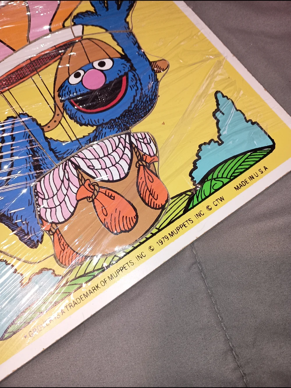 Playskool Grover Hot Air Balloon Wall Art